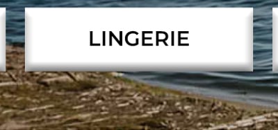 Lingerie