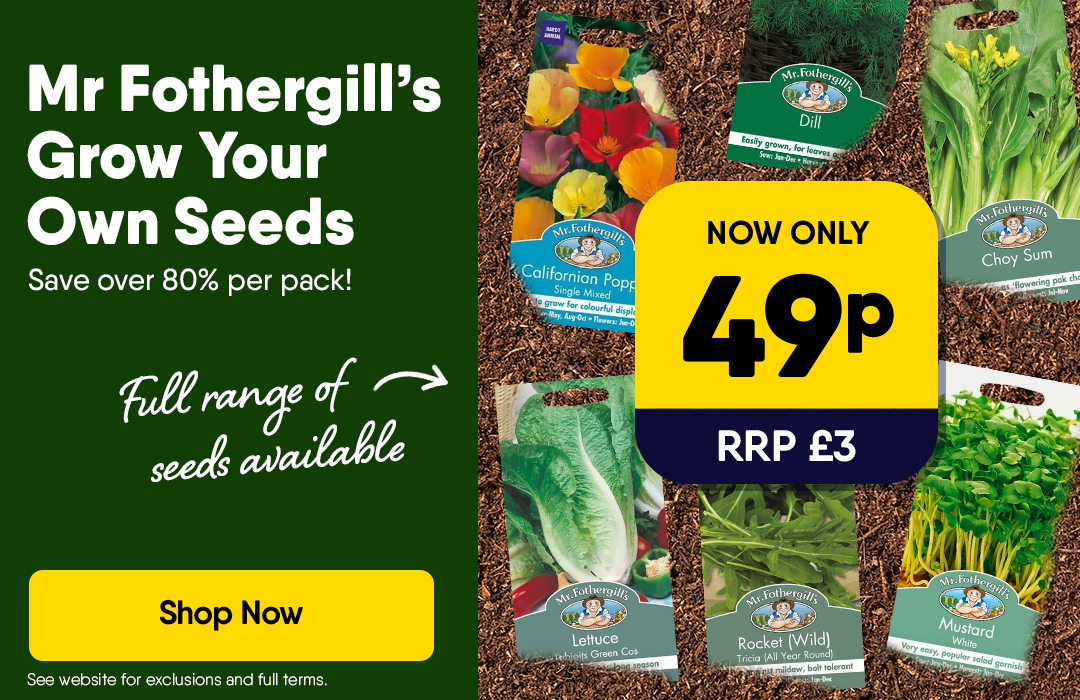 Mr Fothergill's Seeds - 49p