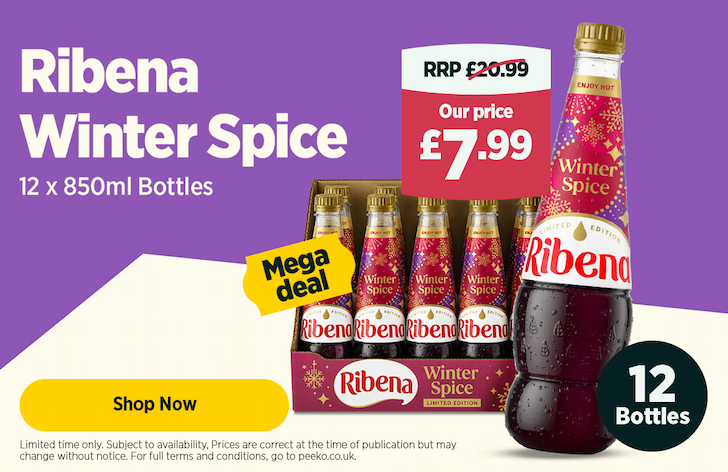 Ribena Winter Spice 12x850ml