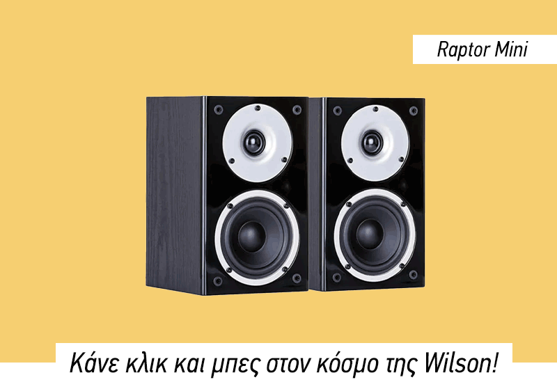 Ηχεία Βιβλιοθήκης Wilson