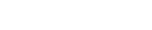 Бензопила DSG-25H 