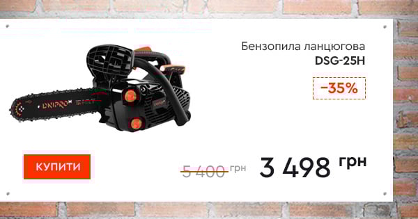 Бензопила ланцюгова Dnipro-M DSG-25H