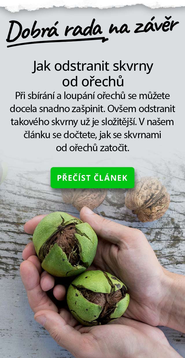 Jak odstranit skvrny od ořechů?