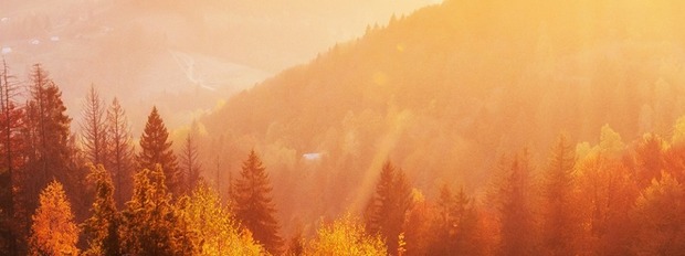 POSEBNA PONUDA ZA VAS >>