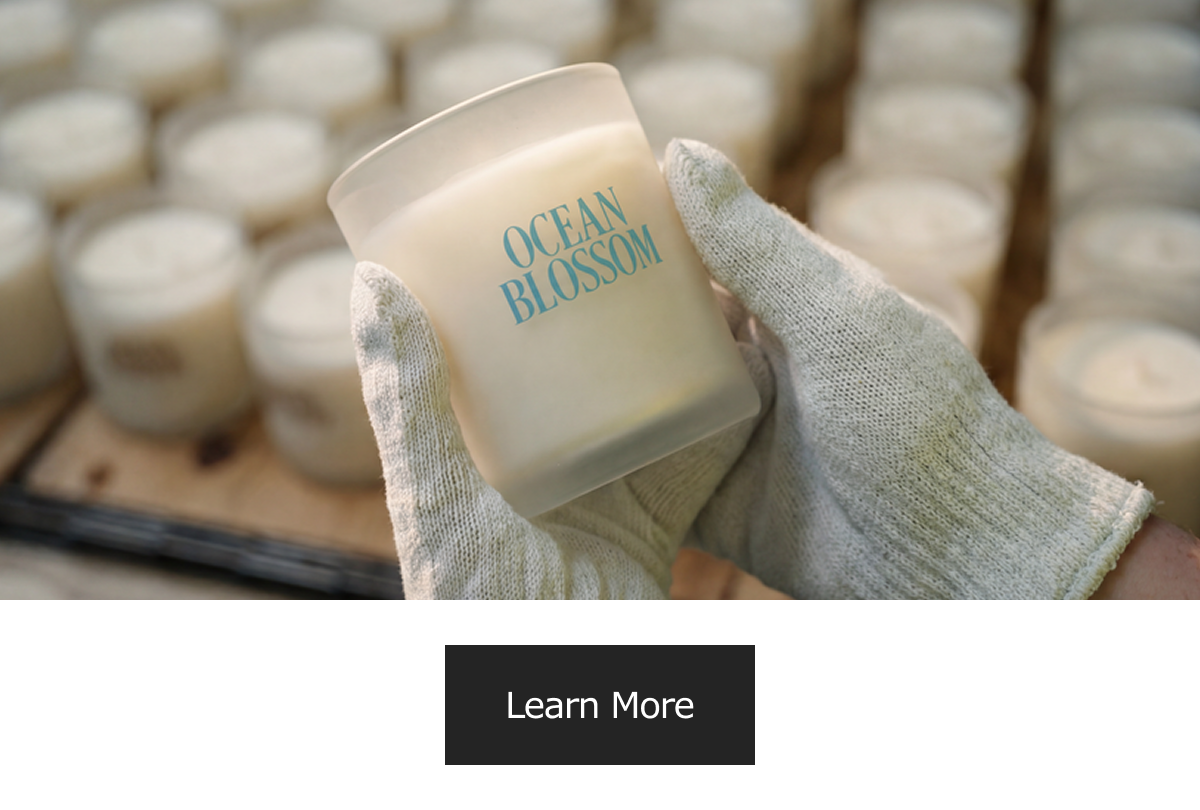 Essence collection | Know More