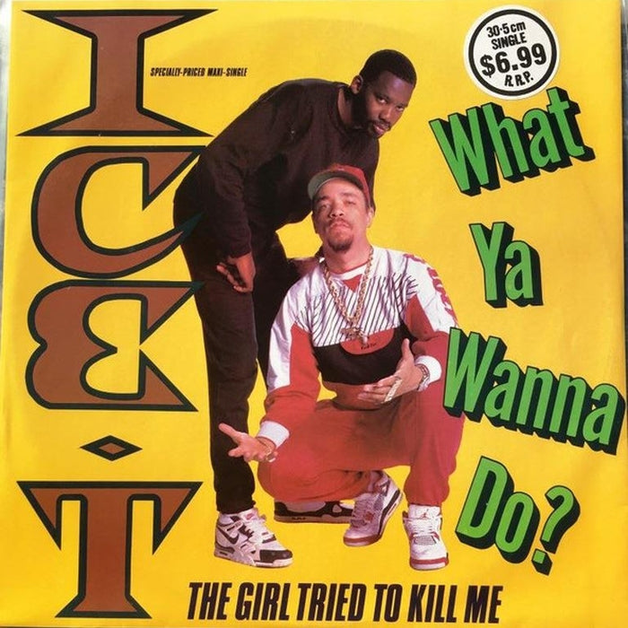 Ice-T – What Ya Wanna Do? (VG+/VG+)