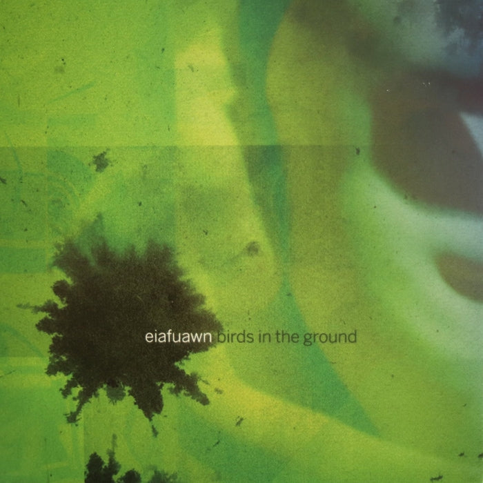 Eiafuawn – Birds In The Ground