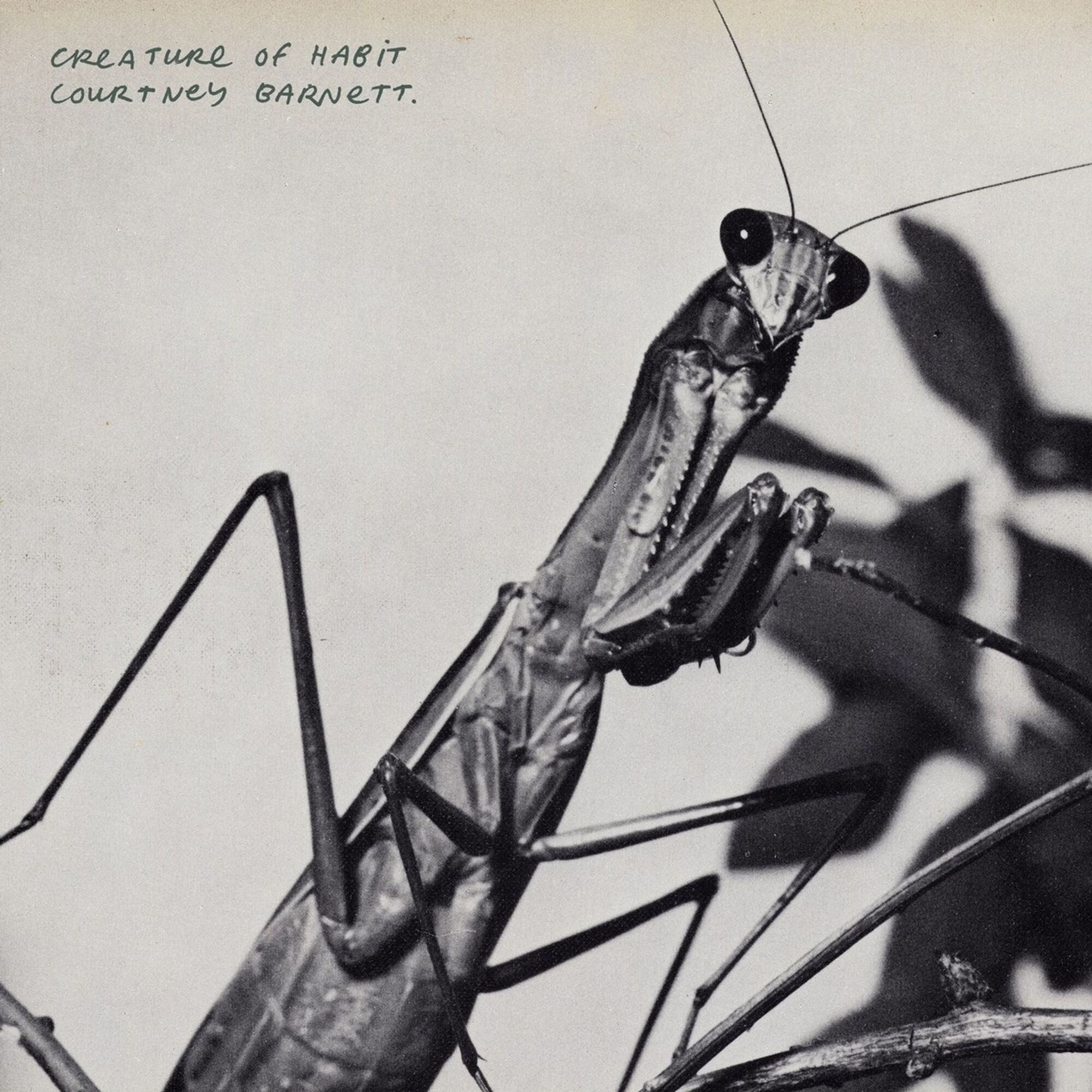 Courtney Barnett – Creature Of Habit