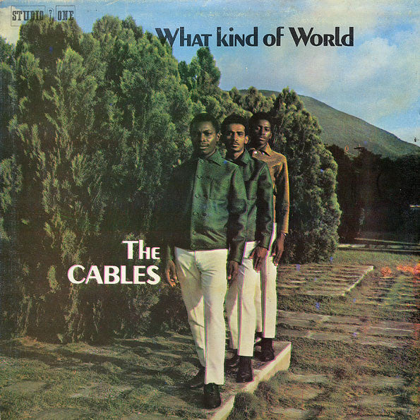 The Cables – What Kind Of World (VG/VG+)