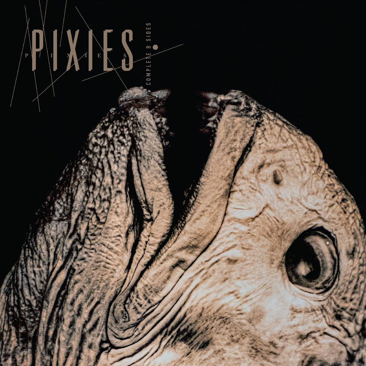 Pixies – Complete B Sides: 1988-97 (2xLP)