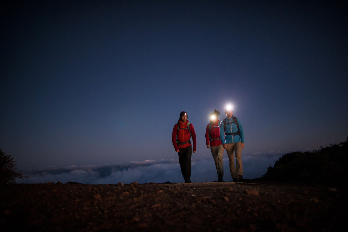 Ledlenser collection hero image for head torches and flashlights