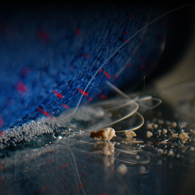 Primer plano de la fregona eléctrica Dyson Clean+Wash Hygiene recogiendo pelo del suelo.