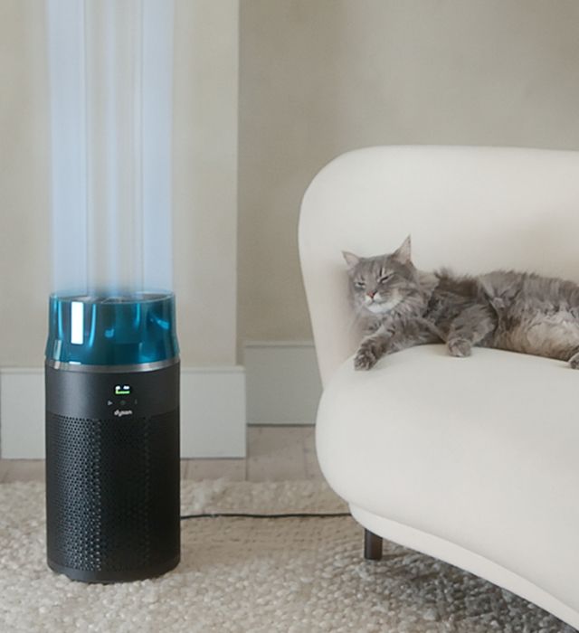 El purificador Dyson HushJet Compact filtra el polen del aire y emite aire limpio.
