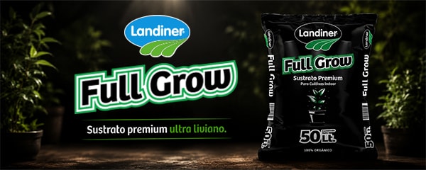Landiner full grow