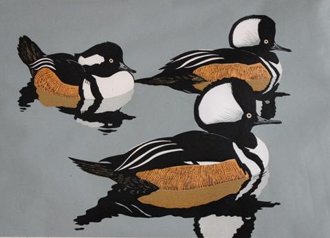 Robert Gillmor - Original linocut of Hooded Mergansers