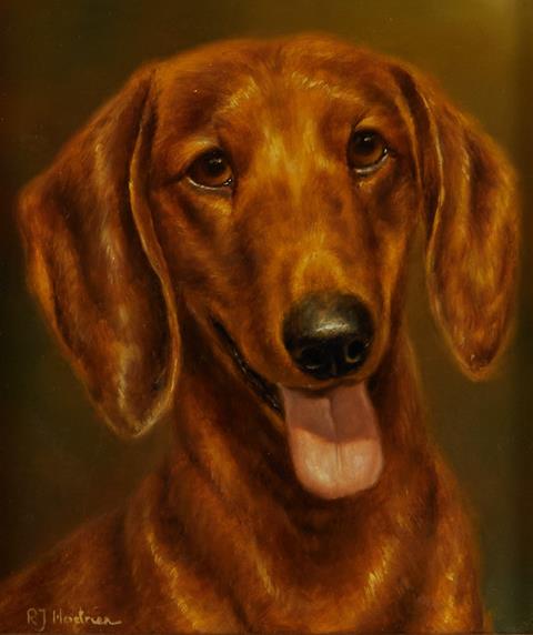 Roy Hodrien, British b.1957 - Portrait of a dachshund; oil on board, signed lower left 'R.J Hodrien',