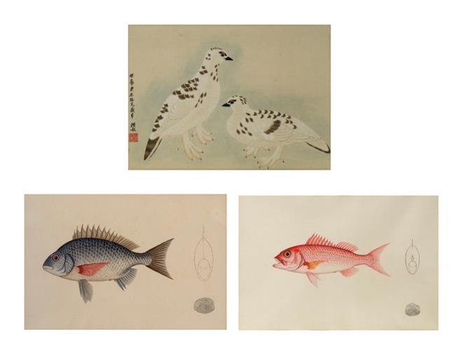 Three Japanese paintings of birds and fishes, Meiji period