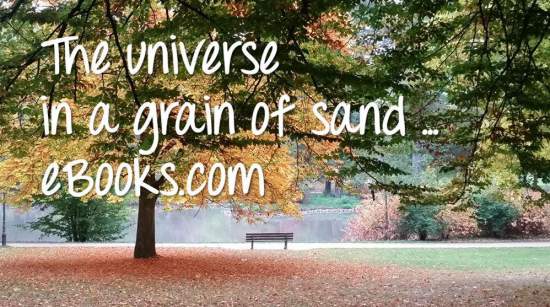 The universe in a grain of sand ... ebooks.com