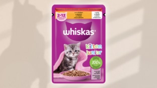 Échantillons gratuits de nourriture pour chatons Whiskas