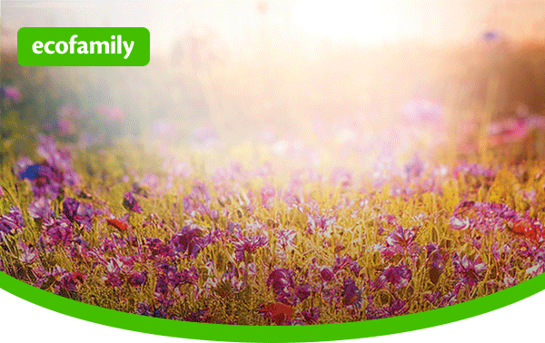 Nyári GLAMOUR-Napok