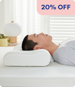 Shop BackRest Pillow