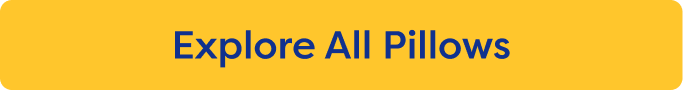Explore All Pillows