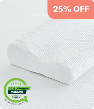 Shop Ecosa Pillow