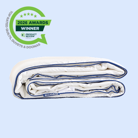 Shop Luxe Silk Quilt