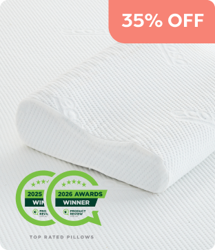 Shop Ecosa Pillow