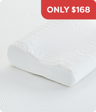 Shop Ecosa Pillow