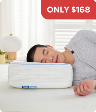 Shop SideSupport Pillow