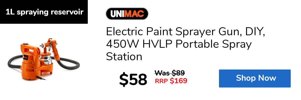 Electric Paint Sprayer Gun, DIY, 450W HVLP Portable Spray Station