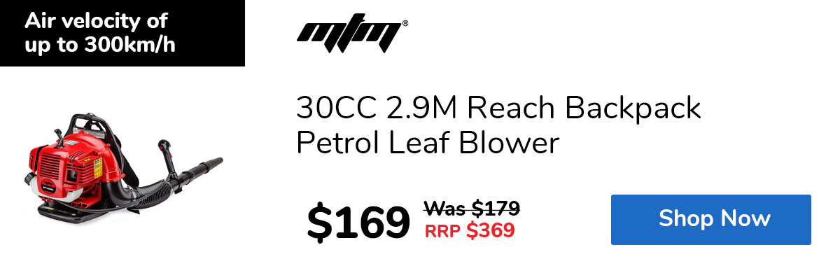 30CC 2.9M Reach Backpack Petrol Leaf Blower