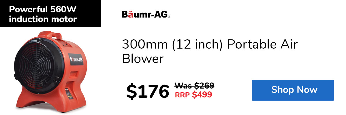 300mm (12 inch) Portable Air Blower