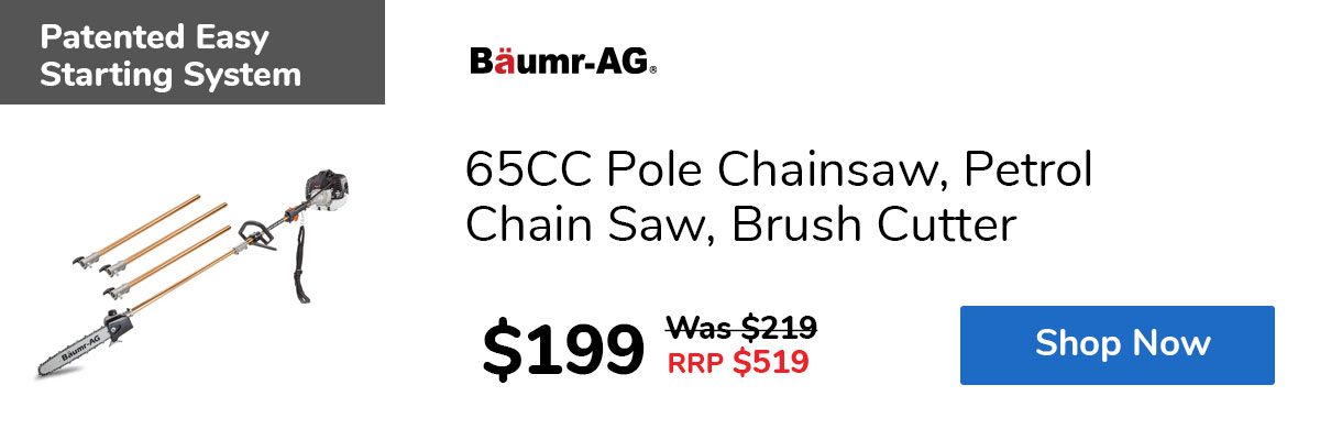 65CC Pole Chainsaw, Petrol Chain Saw, Brush Cutter