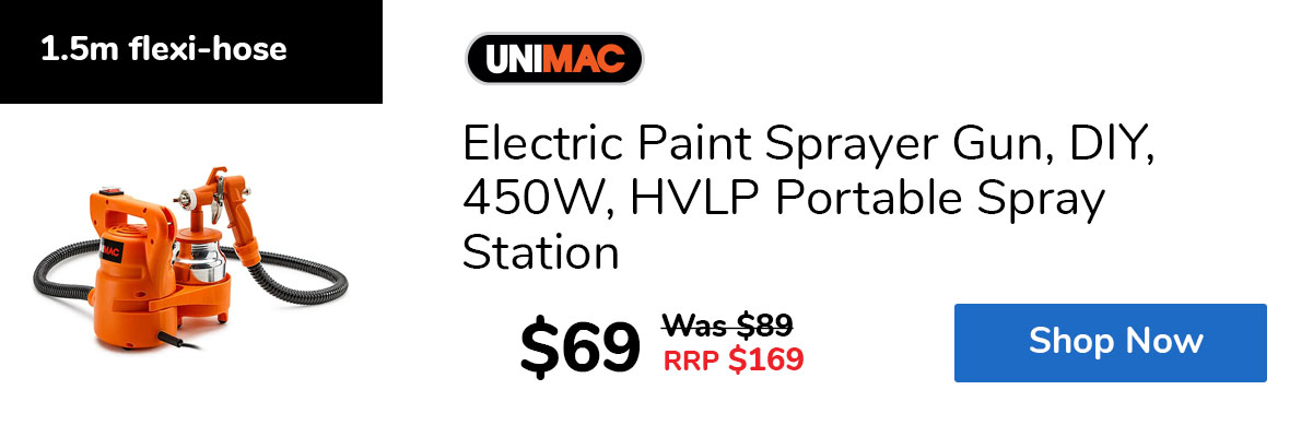 Electric Paint Sprayer Gun, DIY, 450W, HVLP Portable Spray Station