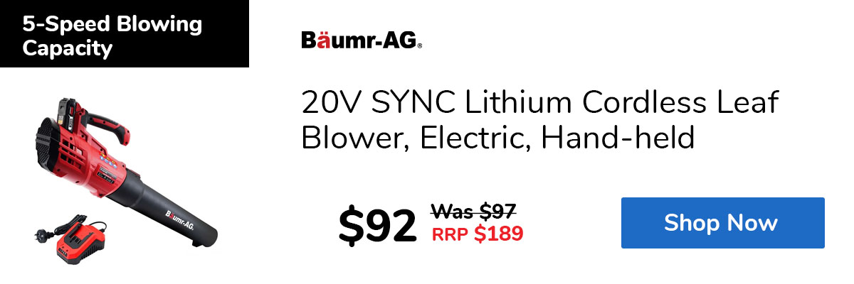 20V SYNC Lithium Cordless Leaf Blower, Electric, Hand-held