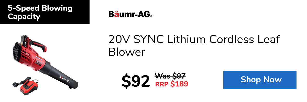 20V SYNC Lithium Cordless Leaf Blower