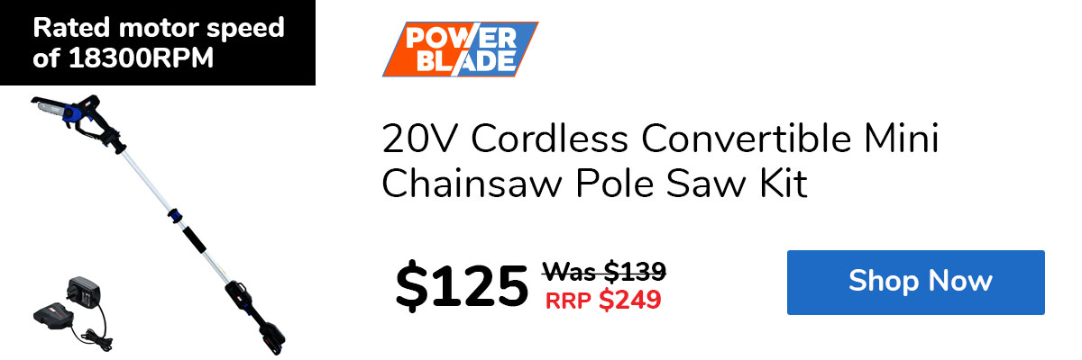 20V Cordless Convertible Mini Chainsaw Pole Saw Kit