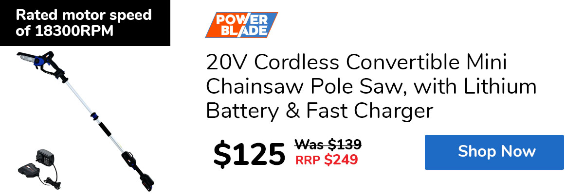 20V Cordless Convertible Mini Chainsaw Pole Saw, with Lithium Battery & Fast Charger