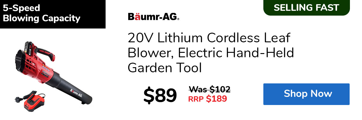 20V Lithium Cordless Leaf Blower, Electric Hand-Held Garden Tool