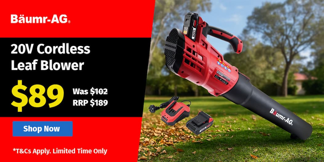 20V Cordless Leaf Blower