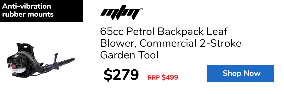 65cc Petrol Backpack Leaf Blower, Commercial 2-Stroke Garden Tool