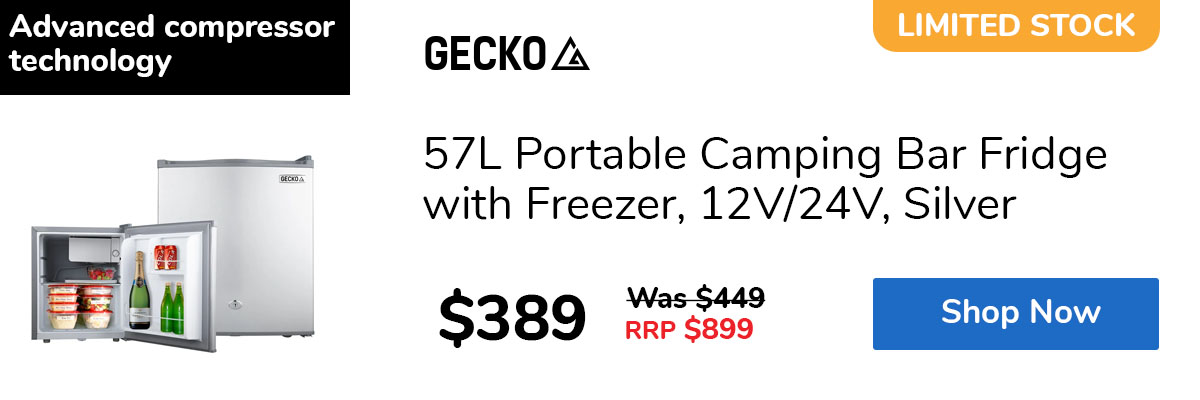 57L Portable Camping Bar Fridge with Freezer, 12V/24V, Silver