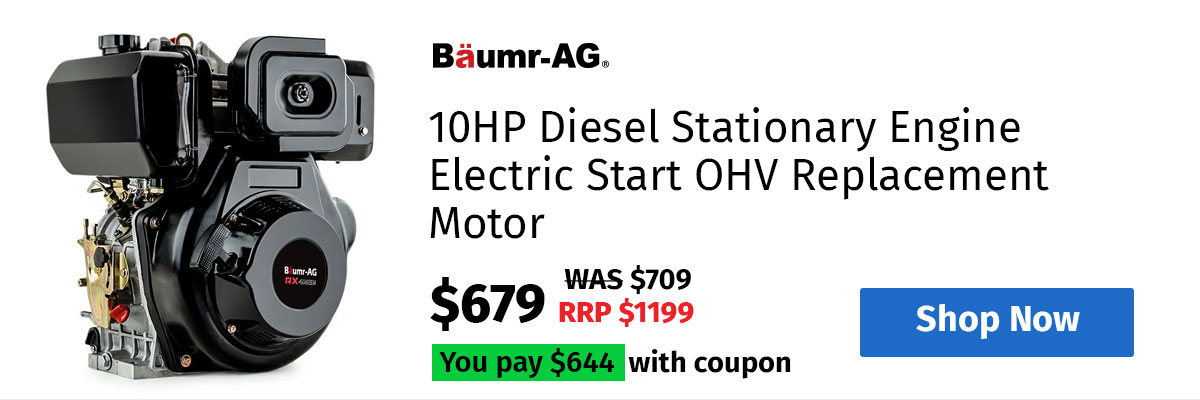 Baumr-AG 10HP Diesel Stationary Engine Electric Start OHV Replacement Motor