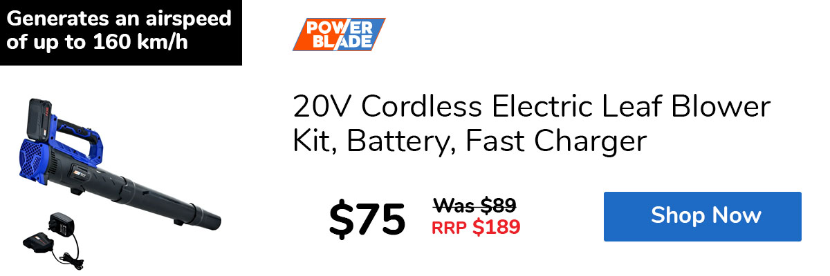 20V Cordless Electric Leaf Blower Kit, Battery, Fast Charger