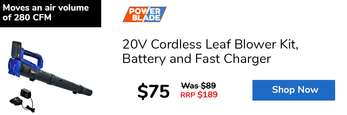 20V Cordless Leaf Blower Kit, Battery and Fast Charger