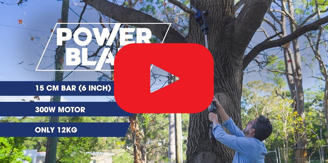 PowerBlade Cordless Pole & Mini chainsaw