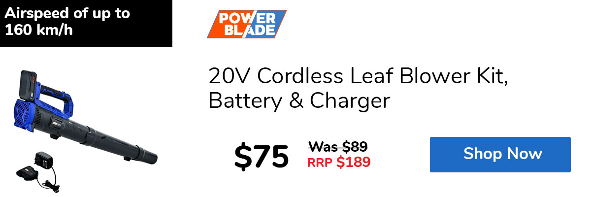 20V Cordless Leaf Blower Kit, Battery & Charger