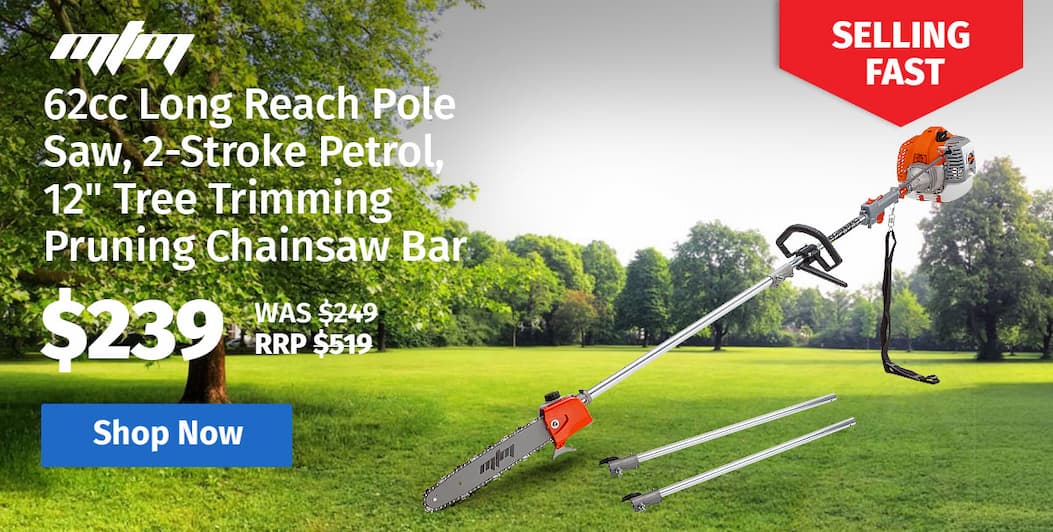 MTM 62cc Long Reach Pole Saw, 2-Stroke Petrol, 12" Tree Trimming Pruning Chainsaw Bar, 2 Extension Shafts